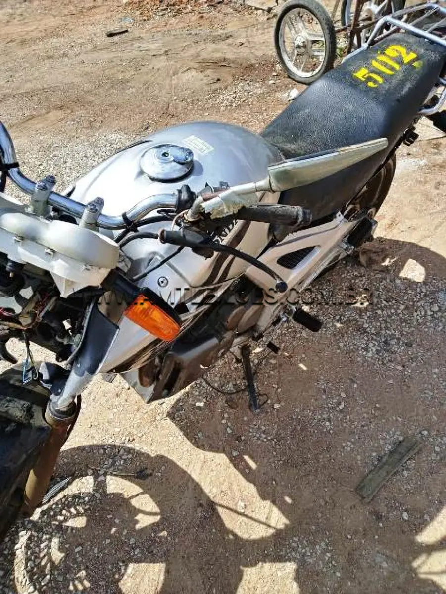 LOTE 502
