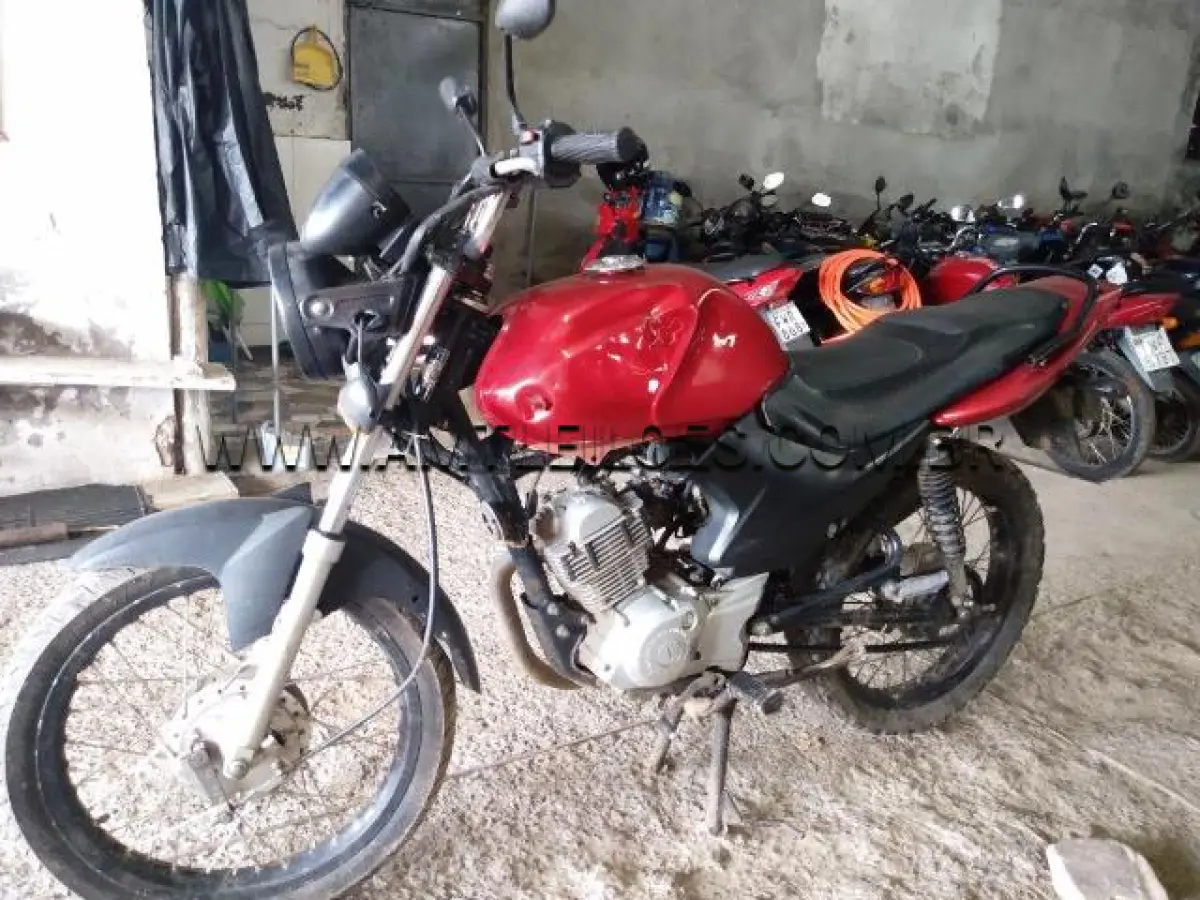 LOTE 282