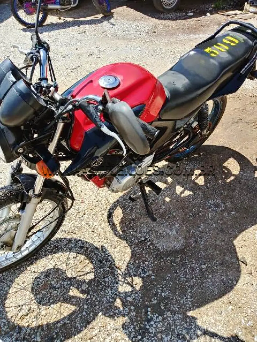 LOTE 509