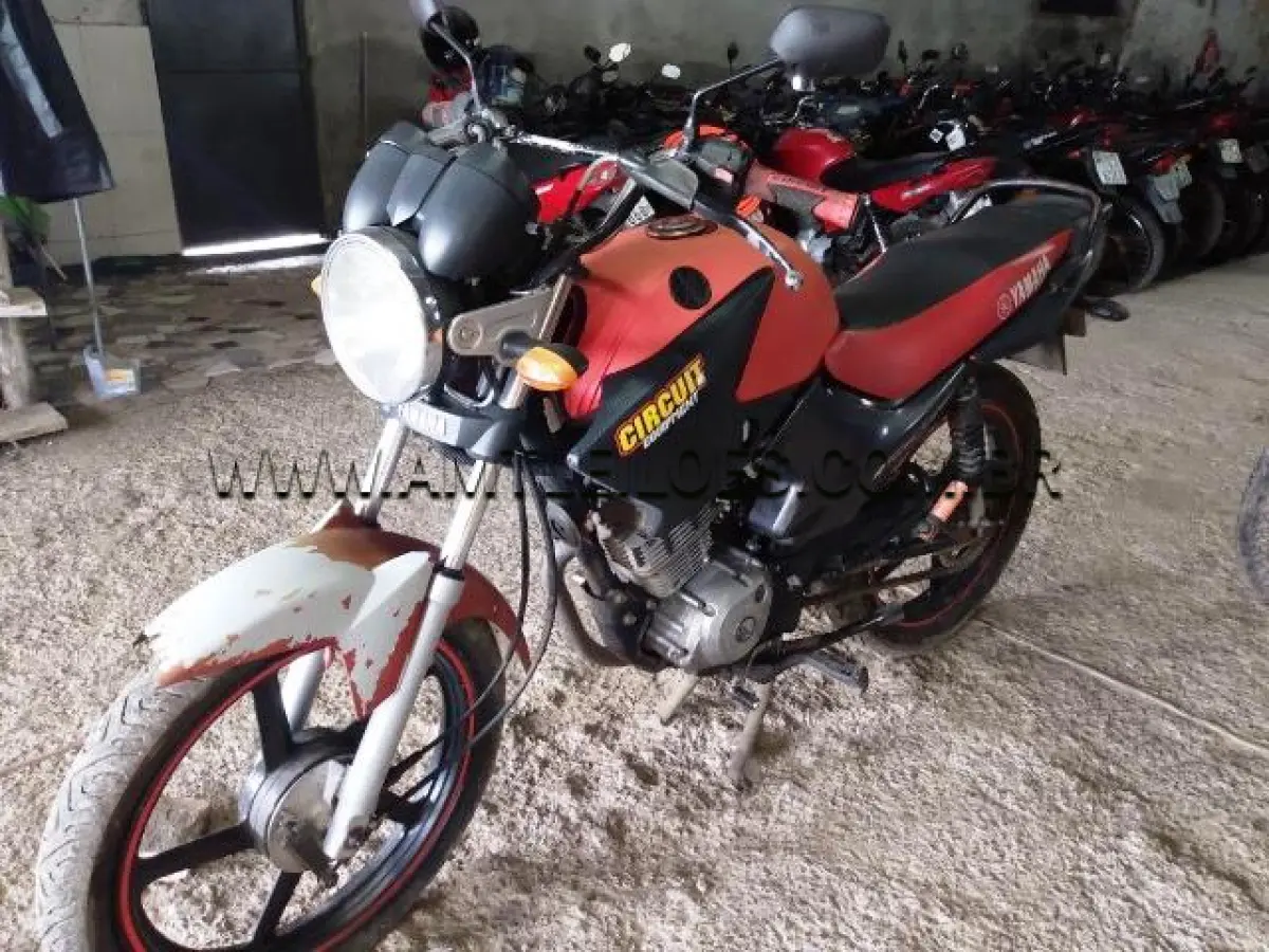 LOTE 288