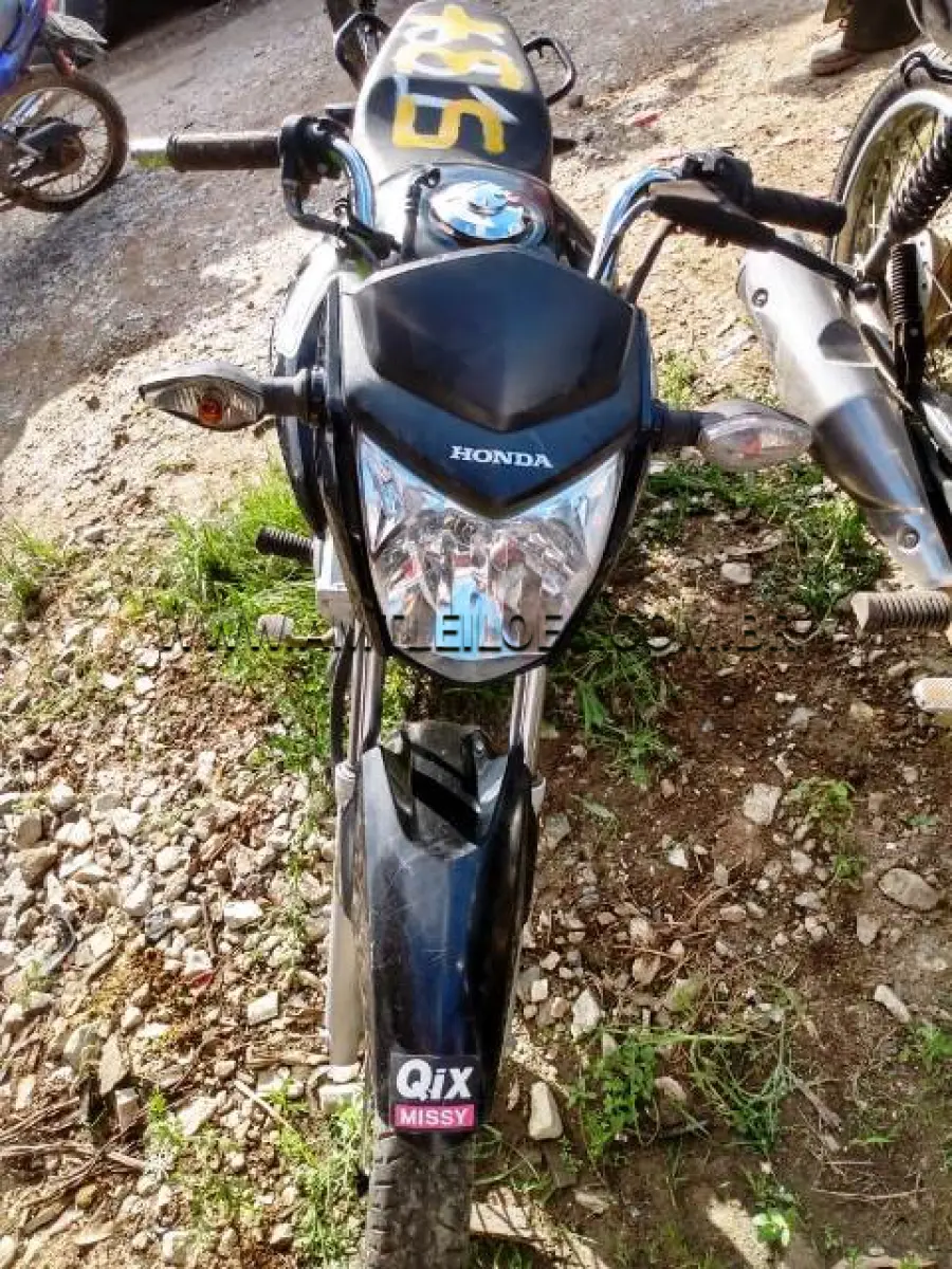 LOTE 053