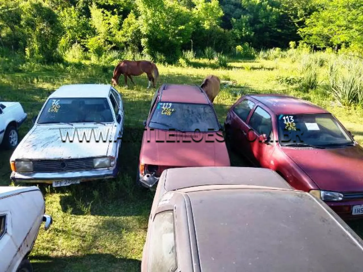 LOTE 320 - SUCATAS: VW/PASSAT, ANO: 1982/1982, PLACA: IFF2450; VW/GOL 1000I, ANO: 1995/1995, PLACA: IHS0750; VW/KOMBI, ANO: 1988/1988, PLACA: IIG2177; FIAT/ELBA S (+), ANO: 1986/1986, PLACA: IHV9062, GM/CHEVETTE, ANO: 1984/1985, PLACA: IBX3988