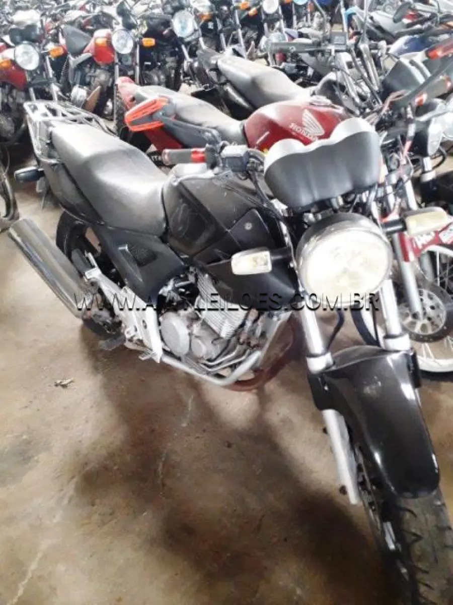 LOTE 362