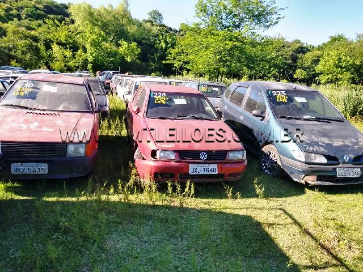 LOTE 324