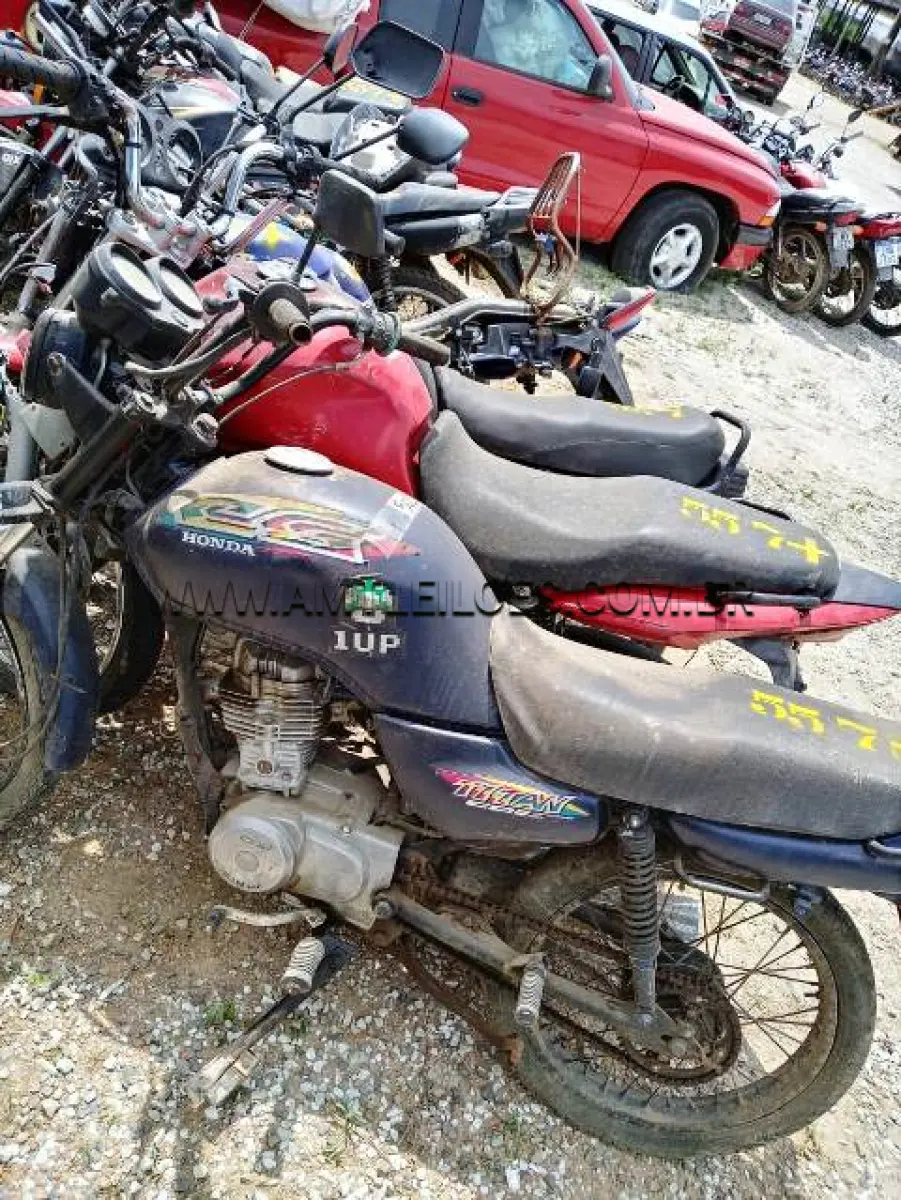 LOTE 557