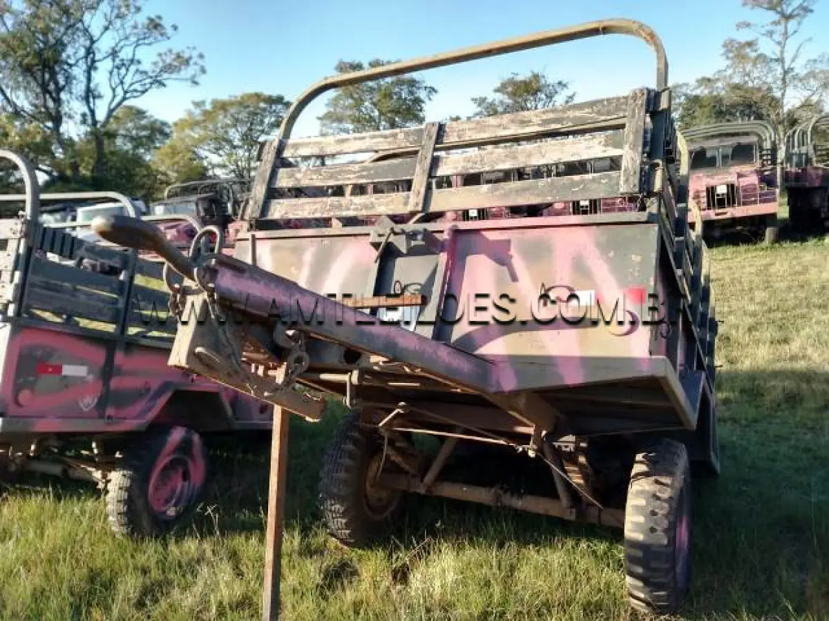 LOTE 035 - REBOQUE, MARCA RODOVIÁRIA 3/4 Ton, 2R
ANO: 1977 ; CHASSI: 216