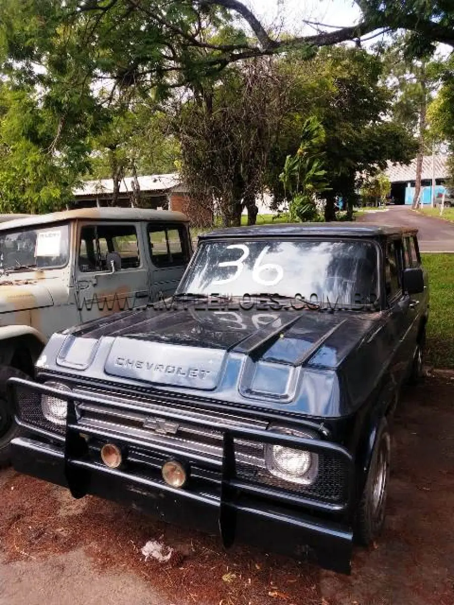 LOTE 036 - VERANEIO C1416 ou C1410 9PSG 4X2 CHEVROLET, ANO 1972, PLACA: IAW 0438, COMBUSTÍVEL: GASOLINA