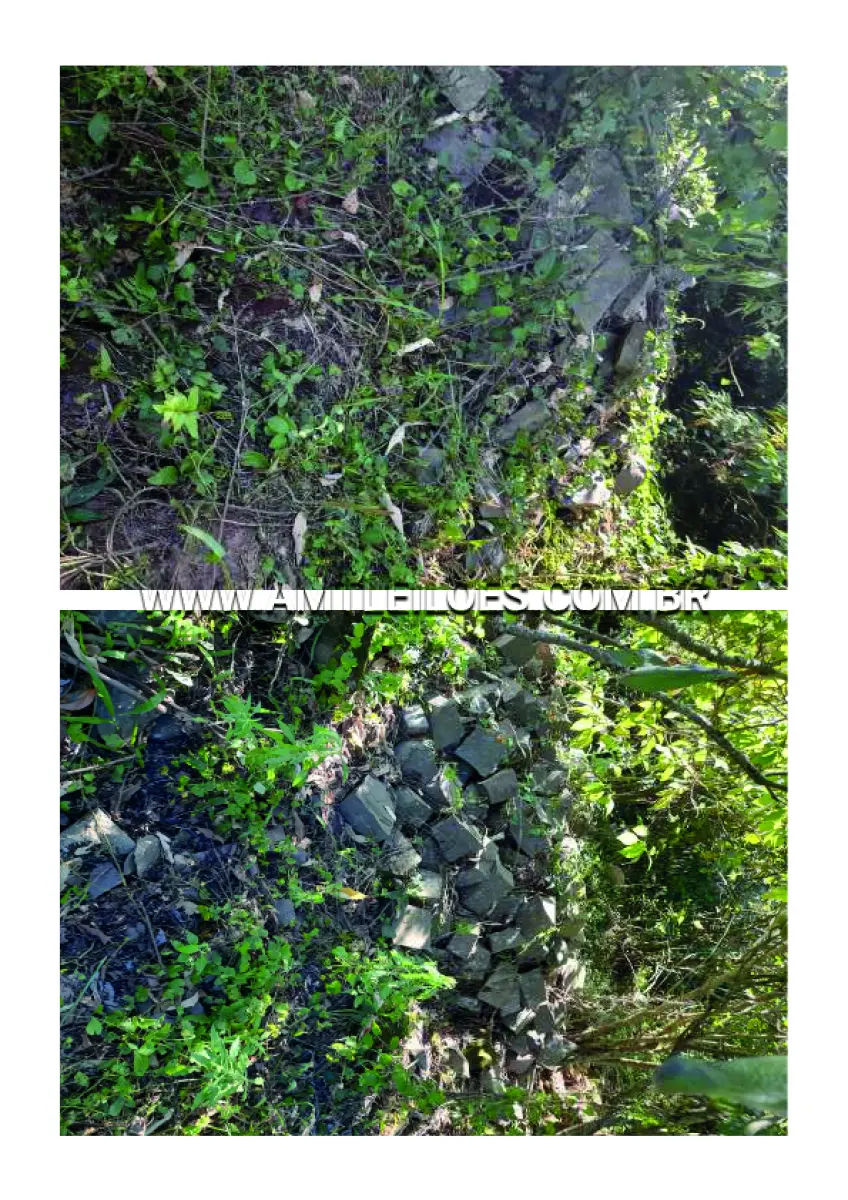LOTE 019 - 1,32 metros cúbicos de pedras inteiras de diversos tamanhos e 16 metros cúbicos de pedras cortadas em paralelepípedos, Totalizando 17,32 metros metros cúbicos de pedras.