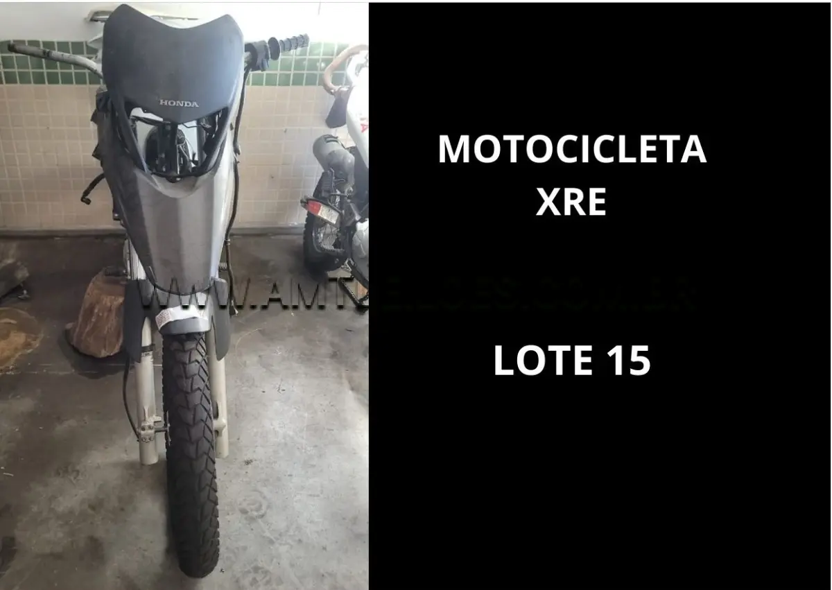 LOTE 015 - MARCA/MODELO: VIATURA MOTOCICLETA POLICIAL HONDA / XRE 300 TRAIL 01PSG 2X1, ANO: 2010.