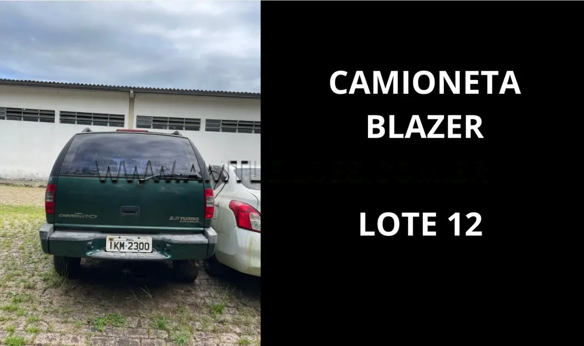 LOTE 012 - MARCA/MODELO: CAMIONETA EMP GE CHEVROLET / BLAZER 2.8DLX 6PSG 4X4, ANO: 2002.