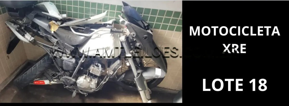 LOTE 018 - MARCA/MODELO: MOTOCICLETA POLICIAL HONDA / XRE 300 TRAIL 01PSG 2X1, ANO: 2010.
