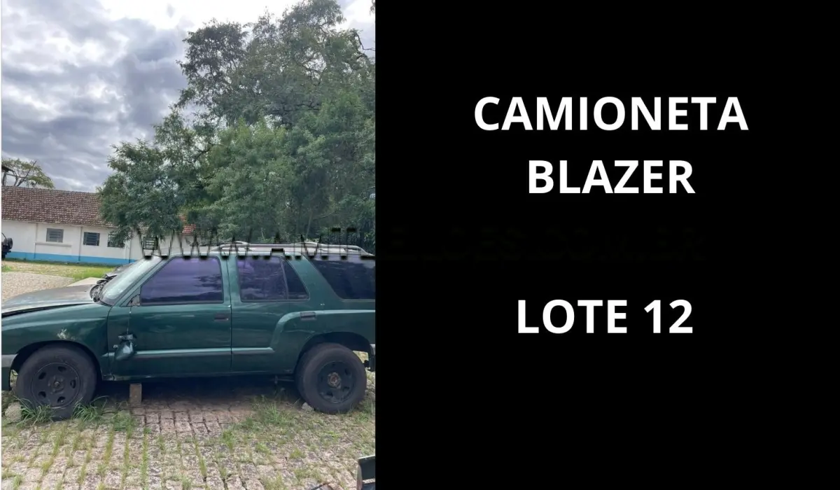 LOTE 012 - MARCA/MODELO: CAMIONETA EMP GE CHEVROLET / BLAZER 2.8DLX 6PSG 4X4, ANO: 2002.