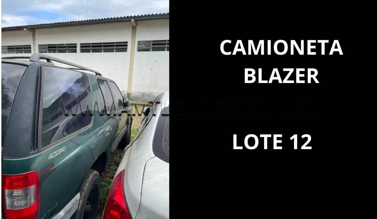 LOTE 012 - MARCA/MODELO: CAMIONETA EMP GE CHEVROLET / BLAZER 2.8DLX 6PSG 4X4, ANO: 2002.