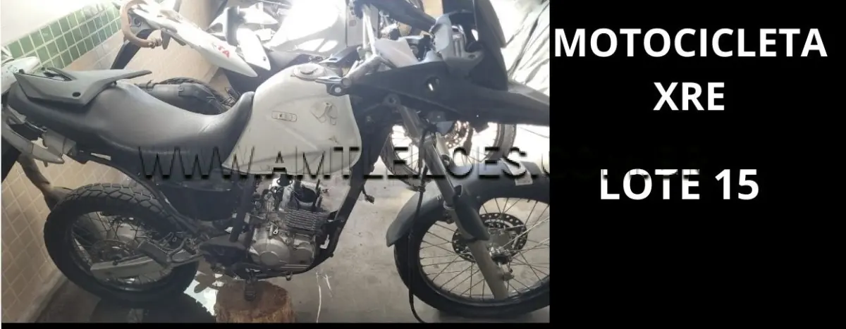LOTE 015 - MARCA/MODELO: VIATURA MOTOCICLETA POLICIAL HONDA / XRE 300 TRAIL 01PSG 2X1, ANO: 2010.