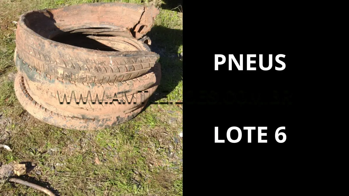 LOTE 006 - MARCA/MODELO: VIATURA CAMINHÃO MERCEDES - BENZ / EMP GE LA1418/51 5T 4X4, ANO: 1998; Pneus: 11.00R22.5 (30 unidades) 10.00R20 (21 unidades) Aro R22.5 (29 unidades) 9.00R20 (13 unidades) Aro 16 (45 unidades) Aro 17 (27 unidades) Aro 15 (8 unidades) Aro 14 (6 unidades) Não especificado (5 unidades).