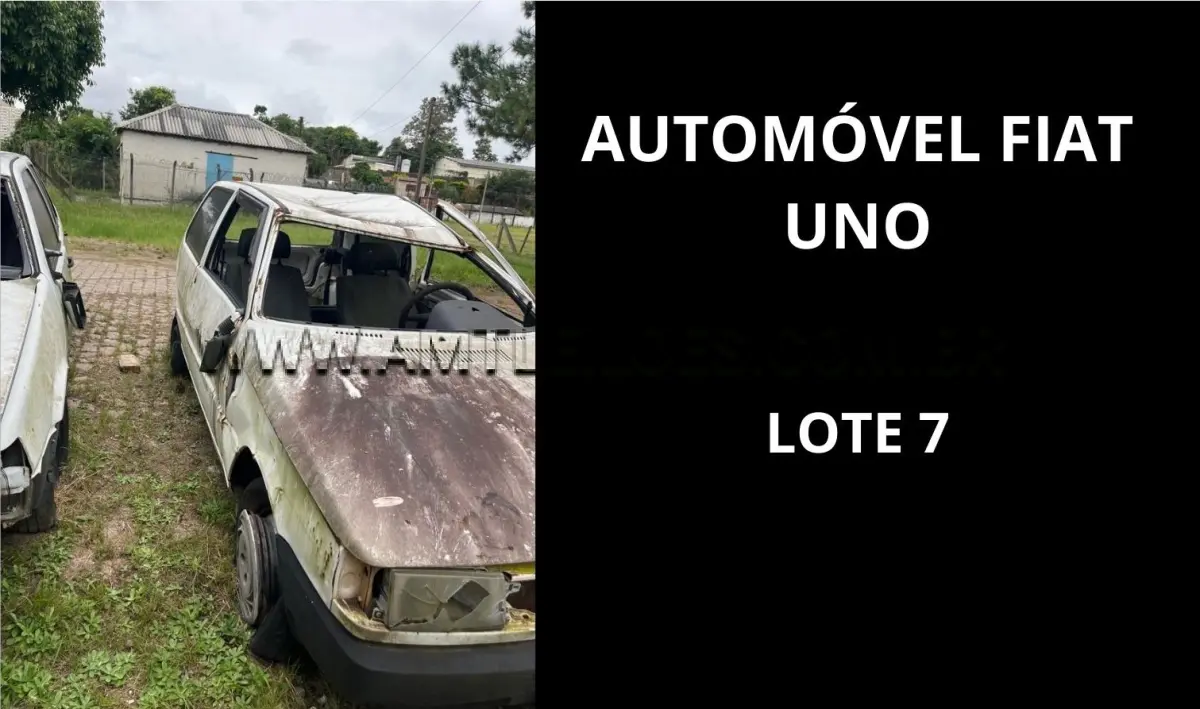 LOTE 007 - MARCA/MODELO: MICRO - ÔNIBUS MARCOPOLO / EMP GE VOLARE A8 28PSG 4X2, ANO: 2000;  MARCA/MODELO: AUTOMÓVEL CMDO FIAT / UNO MILLE 5PSG 4X2 , ANO: 2000.