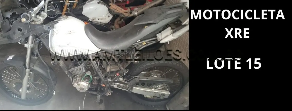LOTE 015 - MARCA/MODELO: VIATURA MOTOCICLETA POLICIAL HONDA / XRE 300 TRAIL 01PSG 2X1, ANO: 2010.