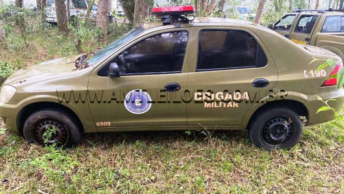 LOTE 019 - GM/PRISMA JOY, ANO/MODELO: 2008/2009