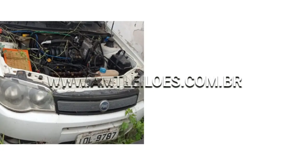 LOTE 102 - FIAT/PALIO WEEK ELX FLEX, ANO/MODELO: 2007/2008