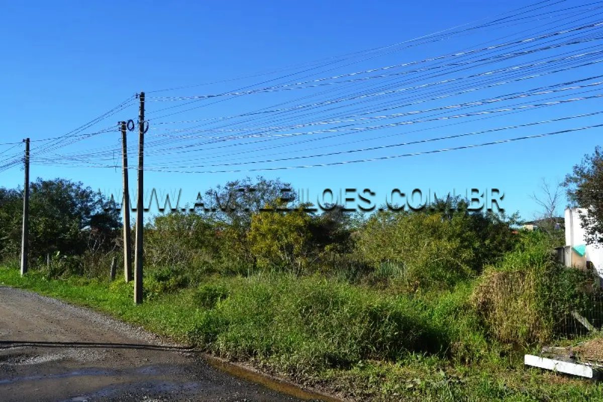 LOTE 013 - TERRENO com Área Superficial 500 m², Matrícula Nº 67.102 - Rua Cajú, Bairro Floresta.