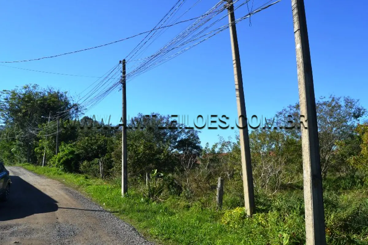 LOTE 013 - TERRENO com Área Superficial 500 m², Matrícula Nº 67.102 - Rua Cajú, Bairro Floresta.