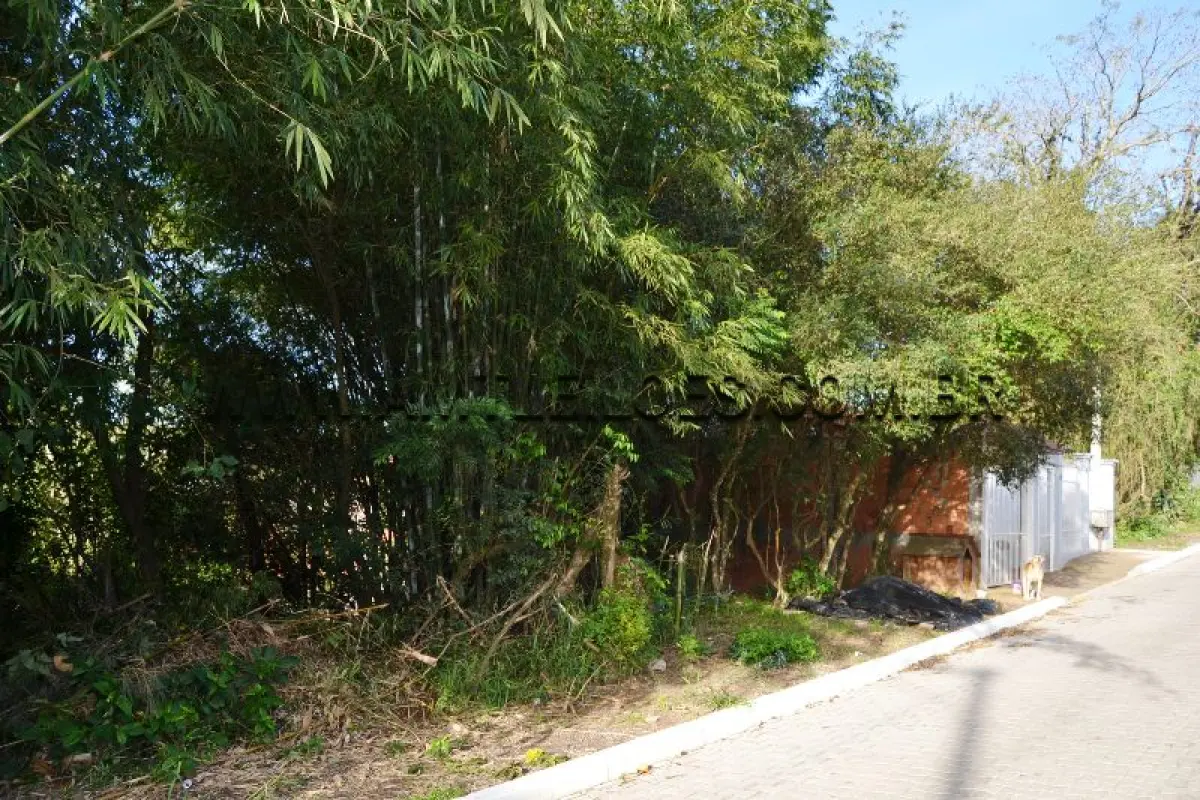 LOTE 003 - TERRENO com Área Superficial 303,05 m², Matrícula Nº 80.039 Passo do Caí, Bairro Califórnia.