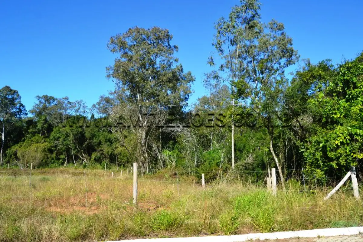 LOTE 007 - TERRENO com Área Superficial 3.375,87 m², Matrícula Nº 126.601 Quadra 8 plátano oriental, Bairro Floresta.