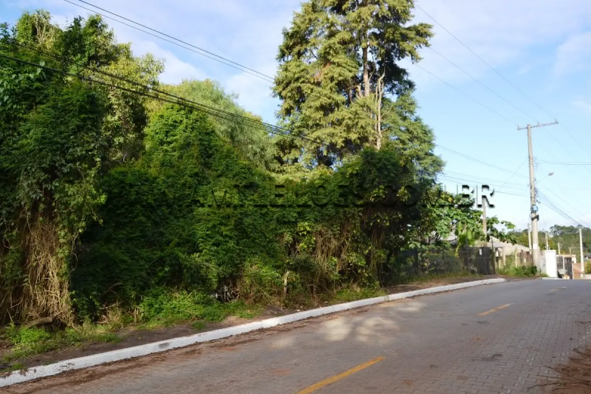 LOTE 002 - TERRENO com Área Superficial 732,95 m², Matrícula Nº 78.628, Estrada do Passito, Bairro Califórnia.
