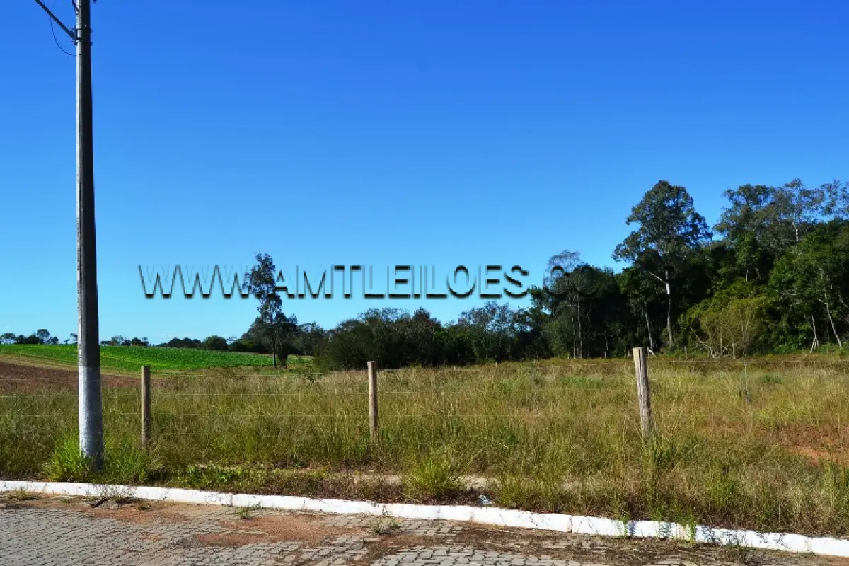 LOTE 007 - TERRENO com Área Superficial 3.375,87 m², Matrícula Nº 126.601 Quadra 8 plátano oriental, Bairro Floresta.
