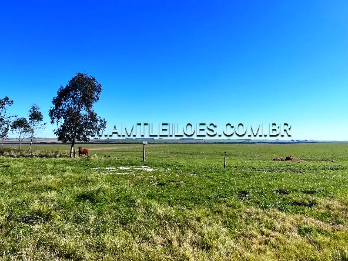 LOTE 001 - UM IMÓVEL RURAL,  COM ÁREA DE 34h.39.a.37ca, Matrícula 29.624.