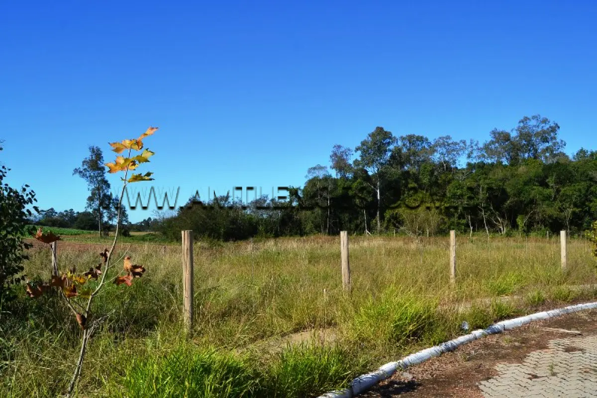 LOTE 007 - TERRENO com Área Superficial 3.375,87 m², Matrícula Nº 126.601 Quadra 8 plátano oriental, Bairro Floresta.