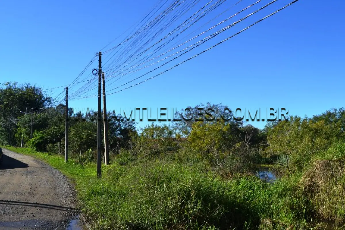 LOTE 013 - TERRENO com Área Superficial 500 m², Matrícula Nº 67.102 - Rua Cajú, Bairro Floresta.