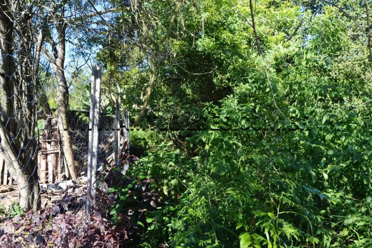 LOTE 005 - TERRENO com Área Superficial 7.383,86 m², Matrícula Nº 101.527 Rua G- Maria José Caju, Bairro Caju.