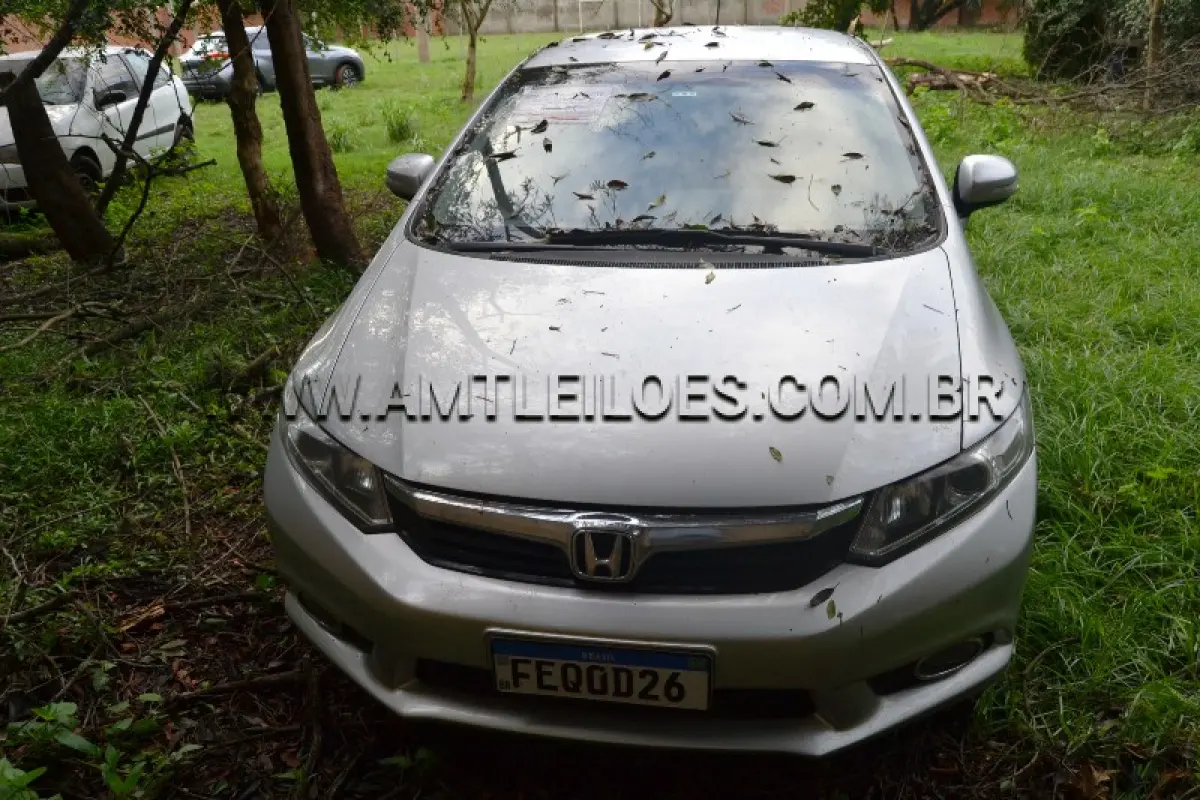 LOTE 006