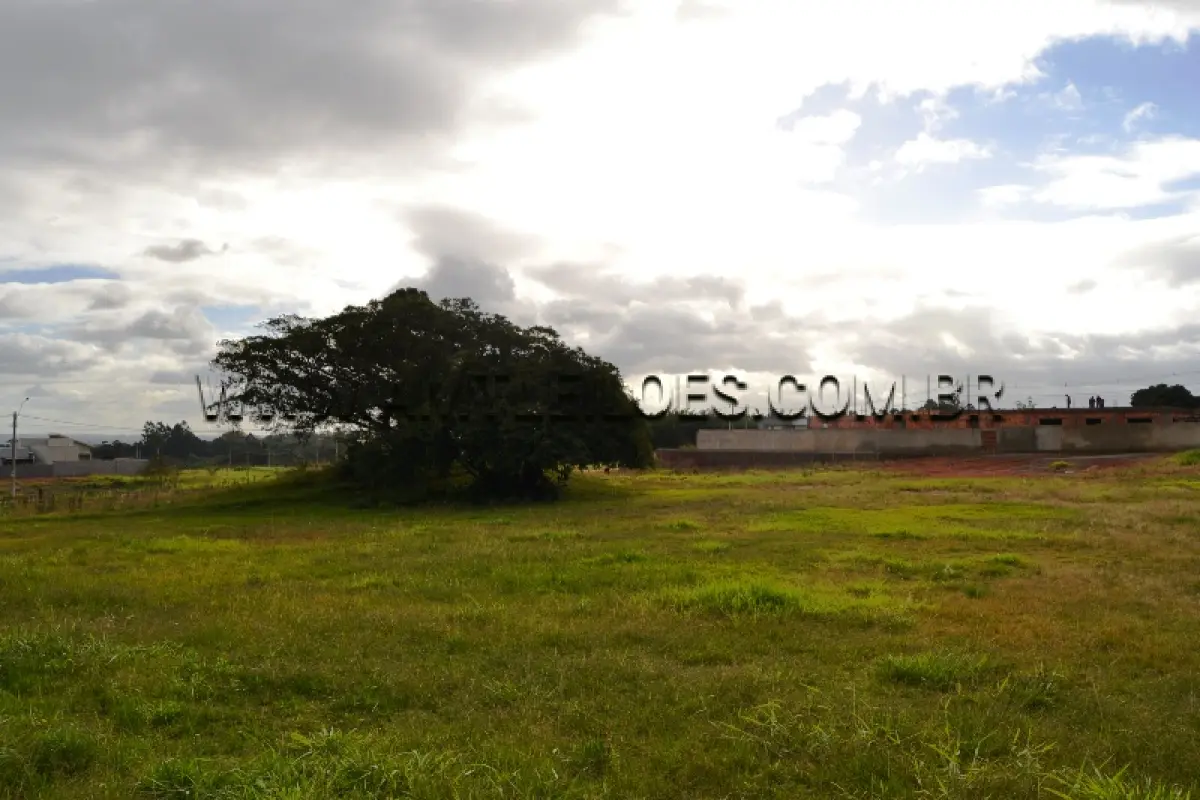LOTE 011 - Área Superficial 3.165,30 m², Matrícula Nº 172.747 Rua Fernando Bohrer Brandão - Lot. Lumi, Bairro Centro.