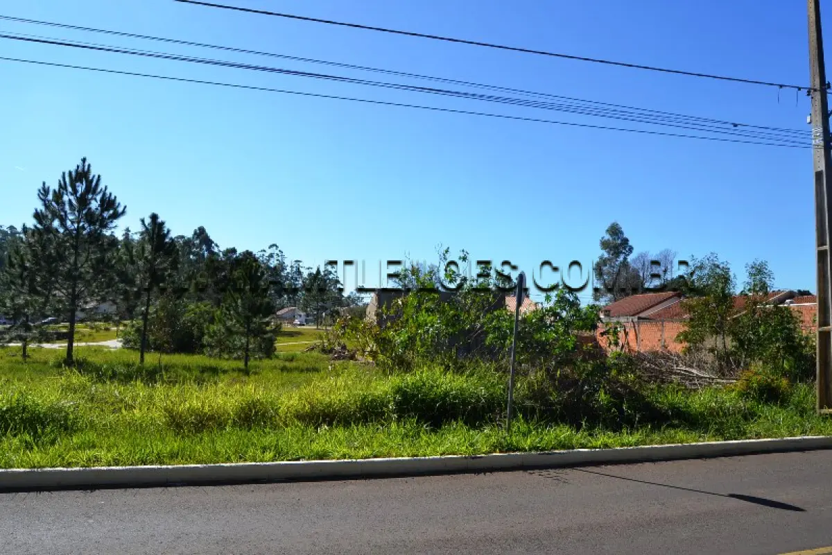 LOTE 010 - Área Superficial 511,50 m², Matrícula Nº 75.476 Deoclécio Rodrigues, Bairro Berto Círio.