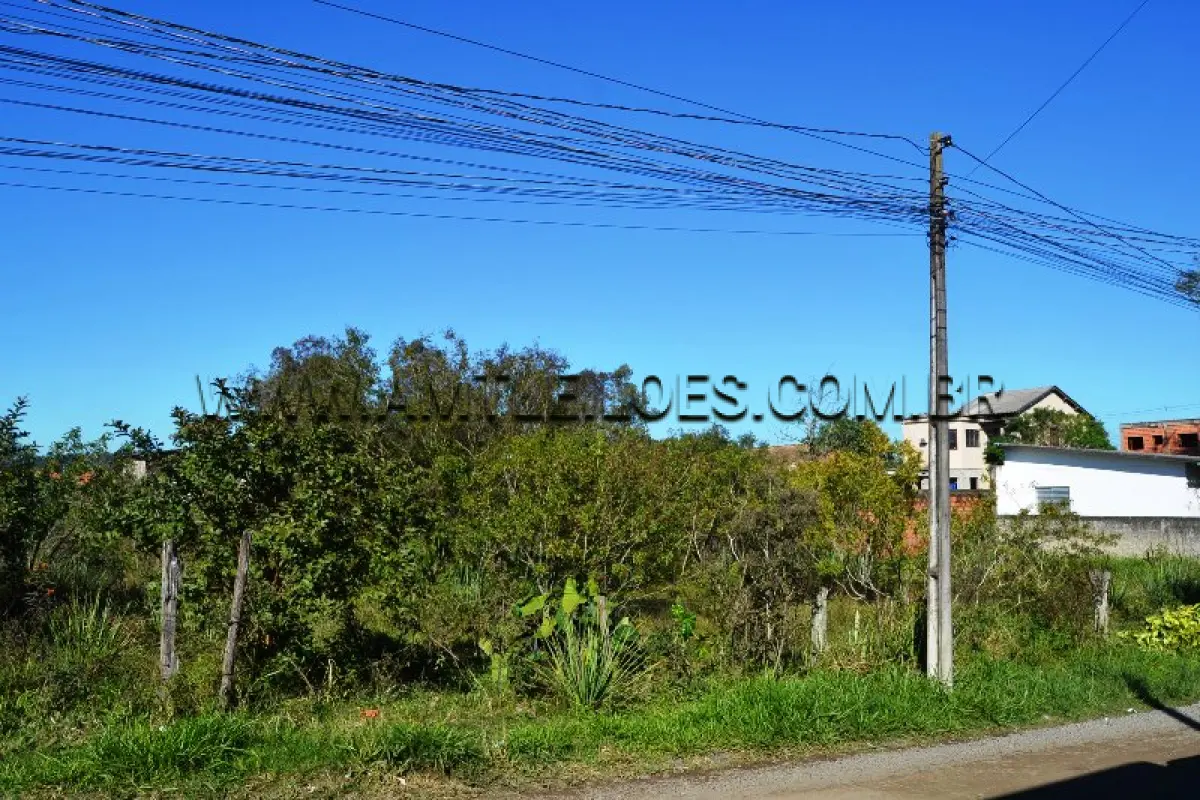 LOTE 013 - Área Superficial 500 m², Matrícula Nº 67.102 Terreno Rua Cajú, Bairro Floresta.