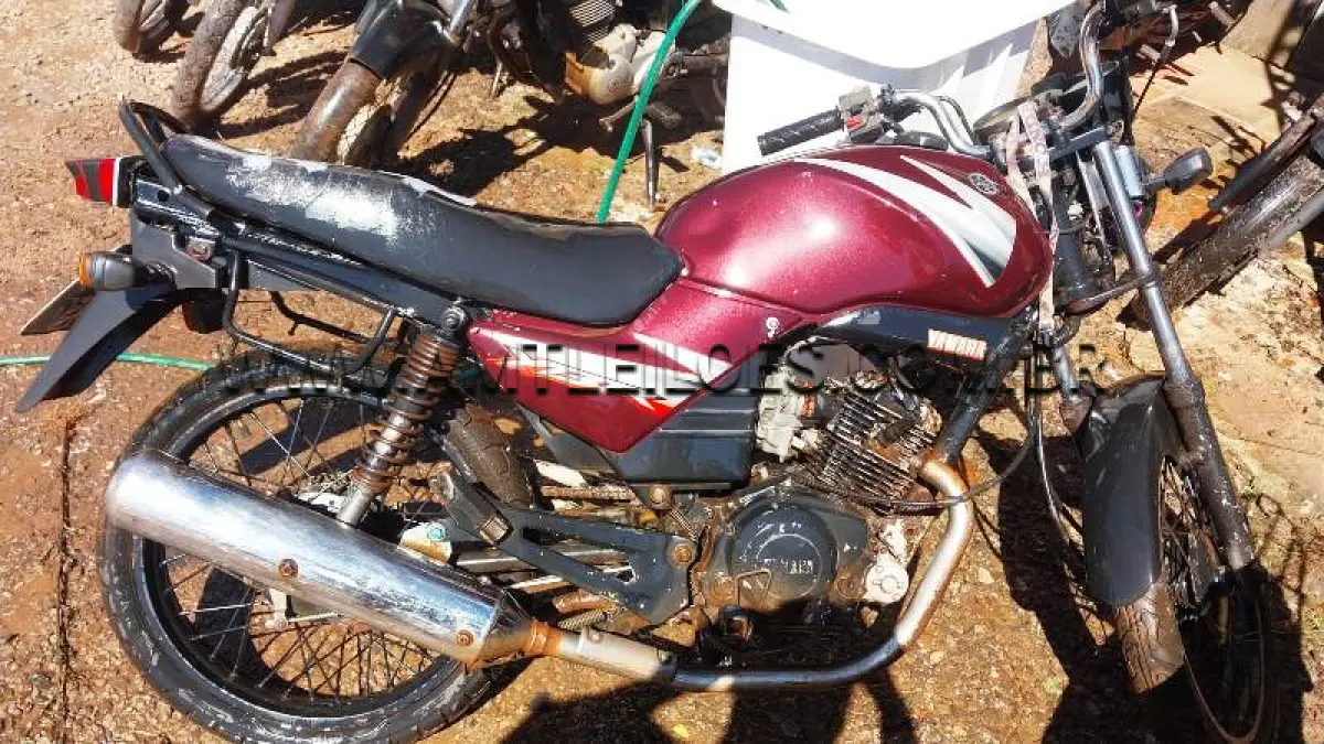LOTE 0087