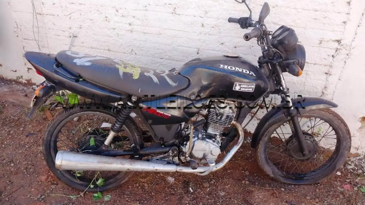 LOTE 0081
