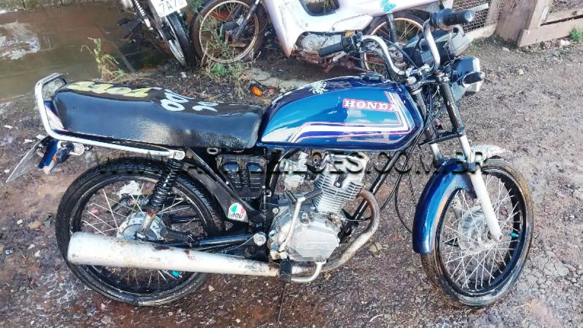 LOTE 0100