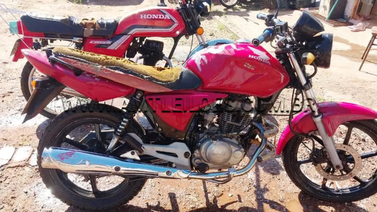 LOTE 0085