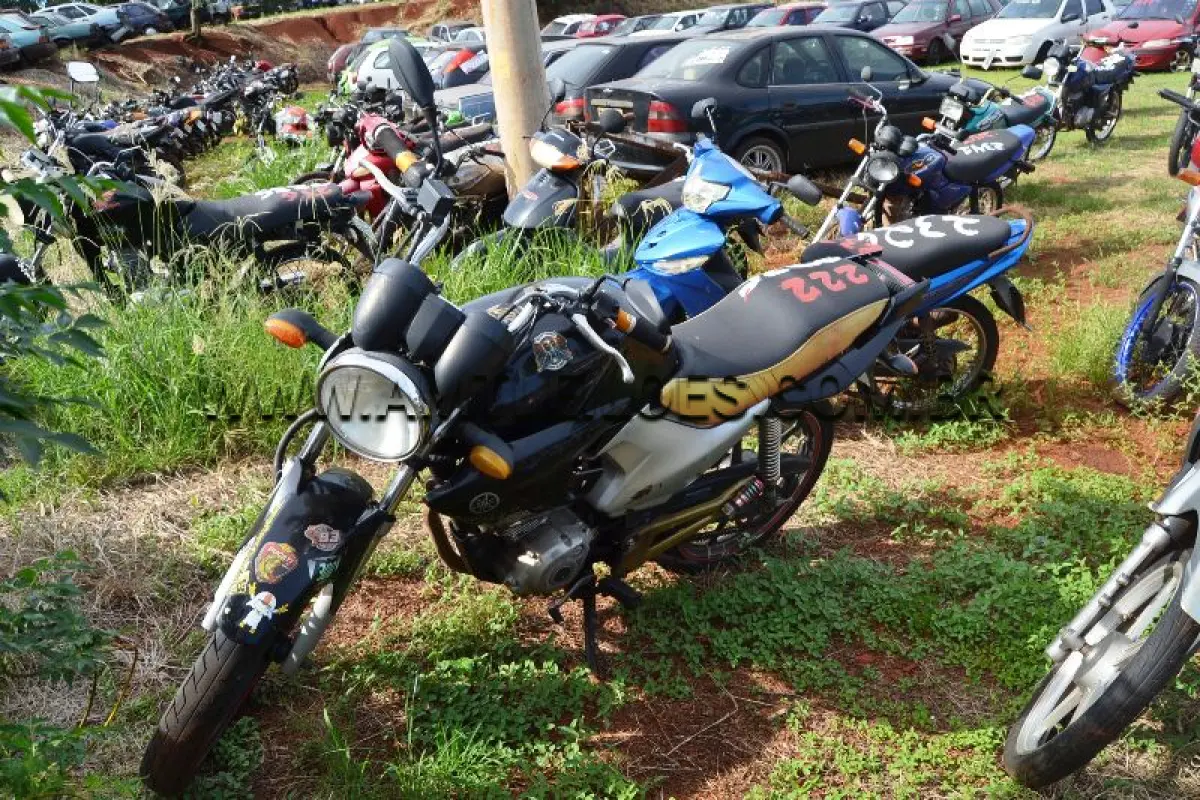 LOTE 0222