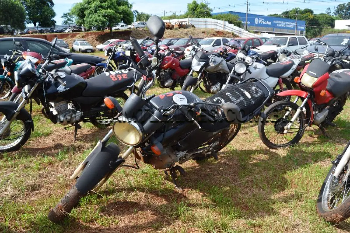 LOTE 0251