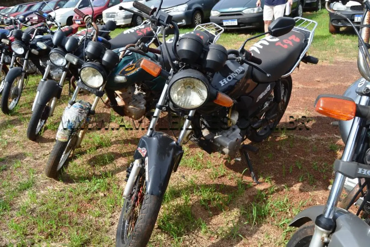 LOTE 0261