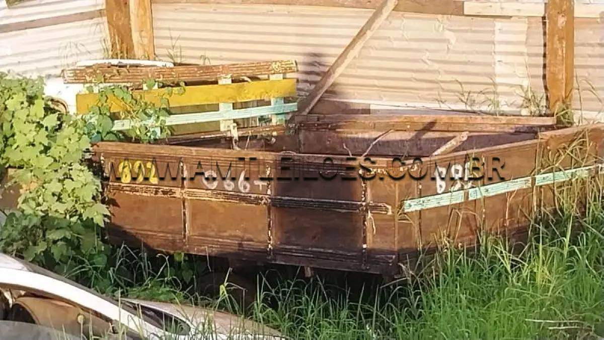 LOTE 0066