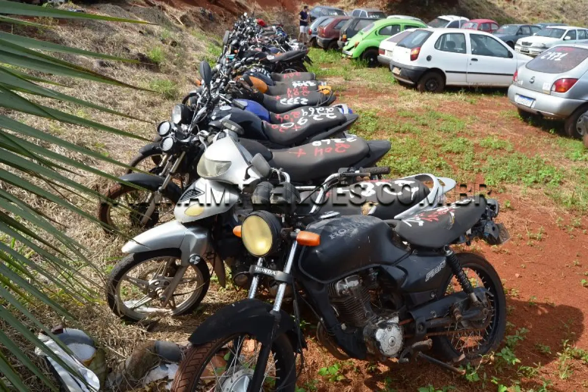 LOTE 0204