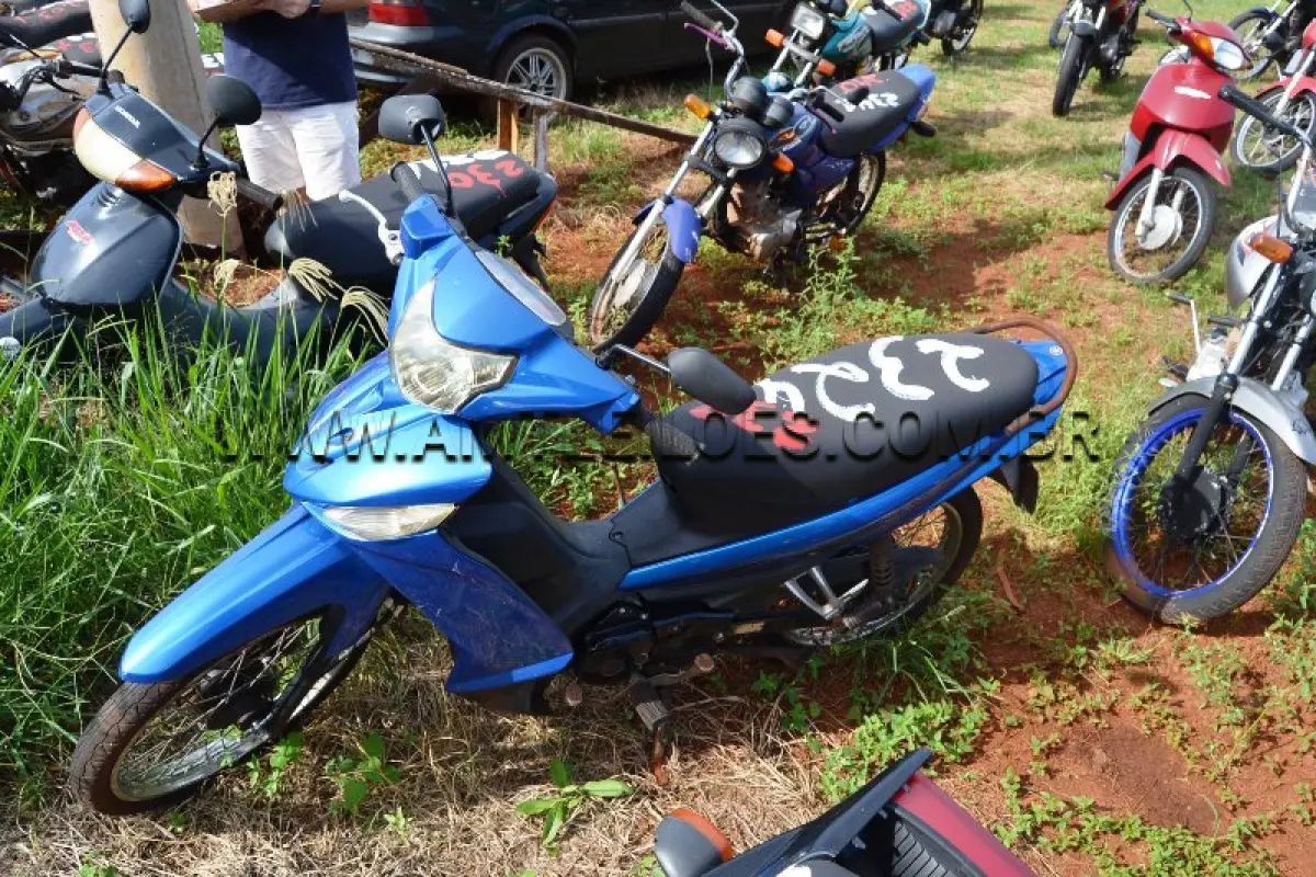 LOTE 0232