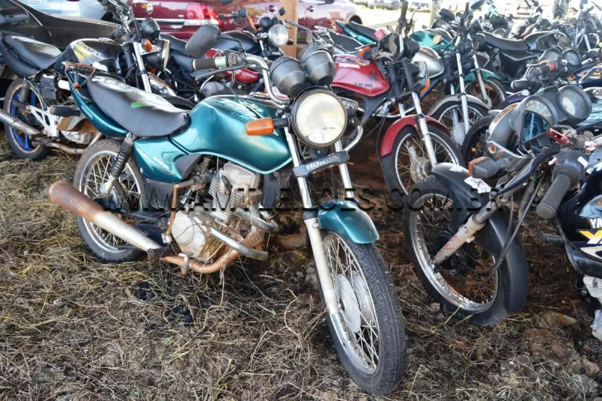 LOTE 0314