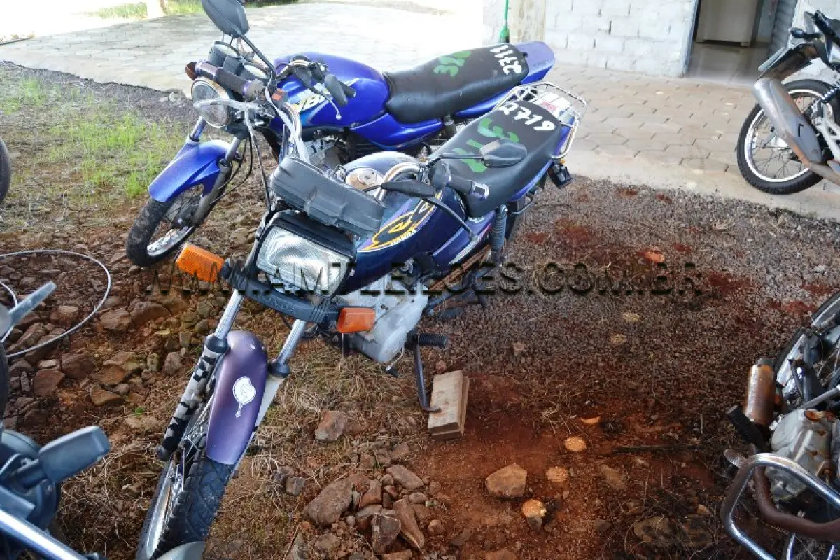 LOTE 0317