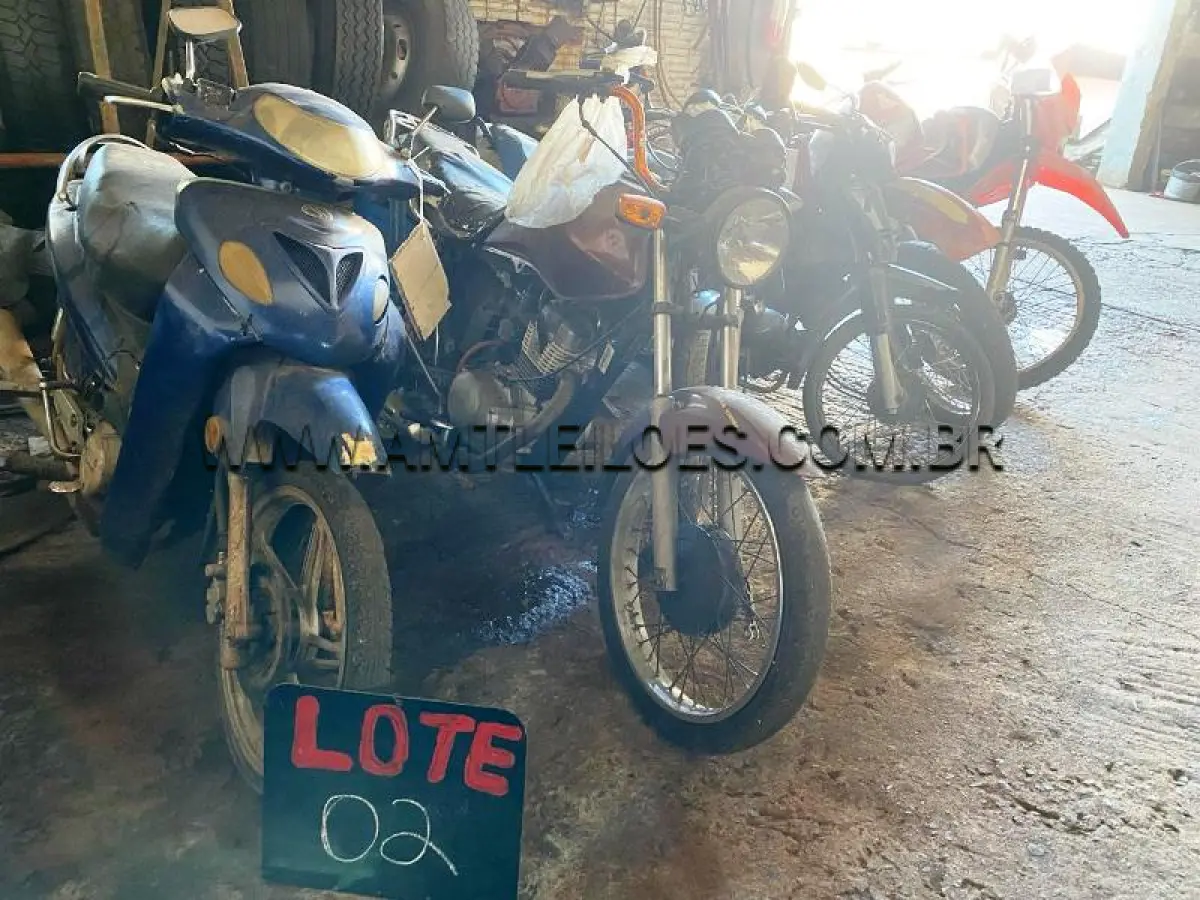 LOTE 0002